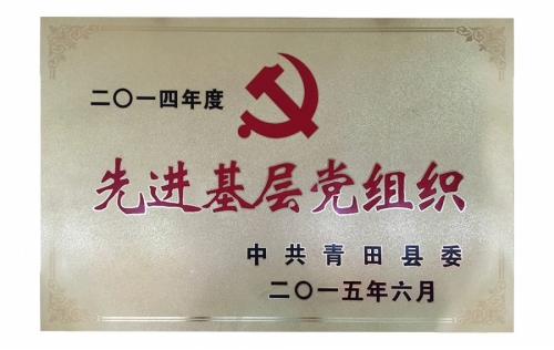 资质声誉-888集团,电子式电能,智能电能表,智能开关,智能AMI系统,物联网解决方案,官方网站