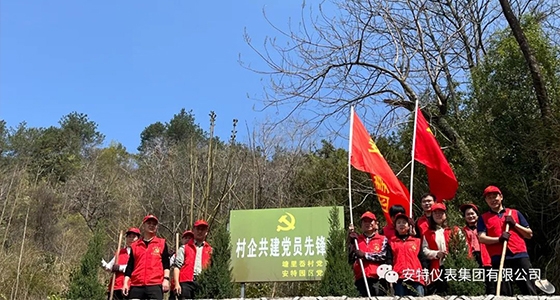 党建强引领，共植先锋林