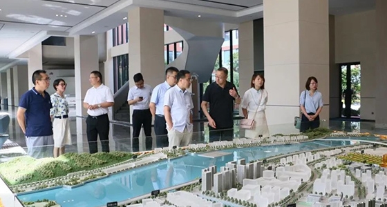 中央党校调研888集团集团