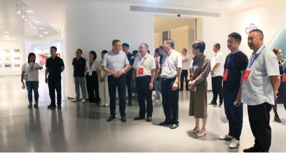 丽水市第五届人大代表景宁中心组调研888集团集团